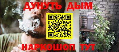 spice Славгород